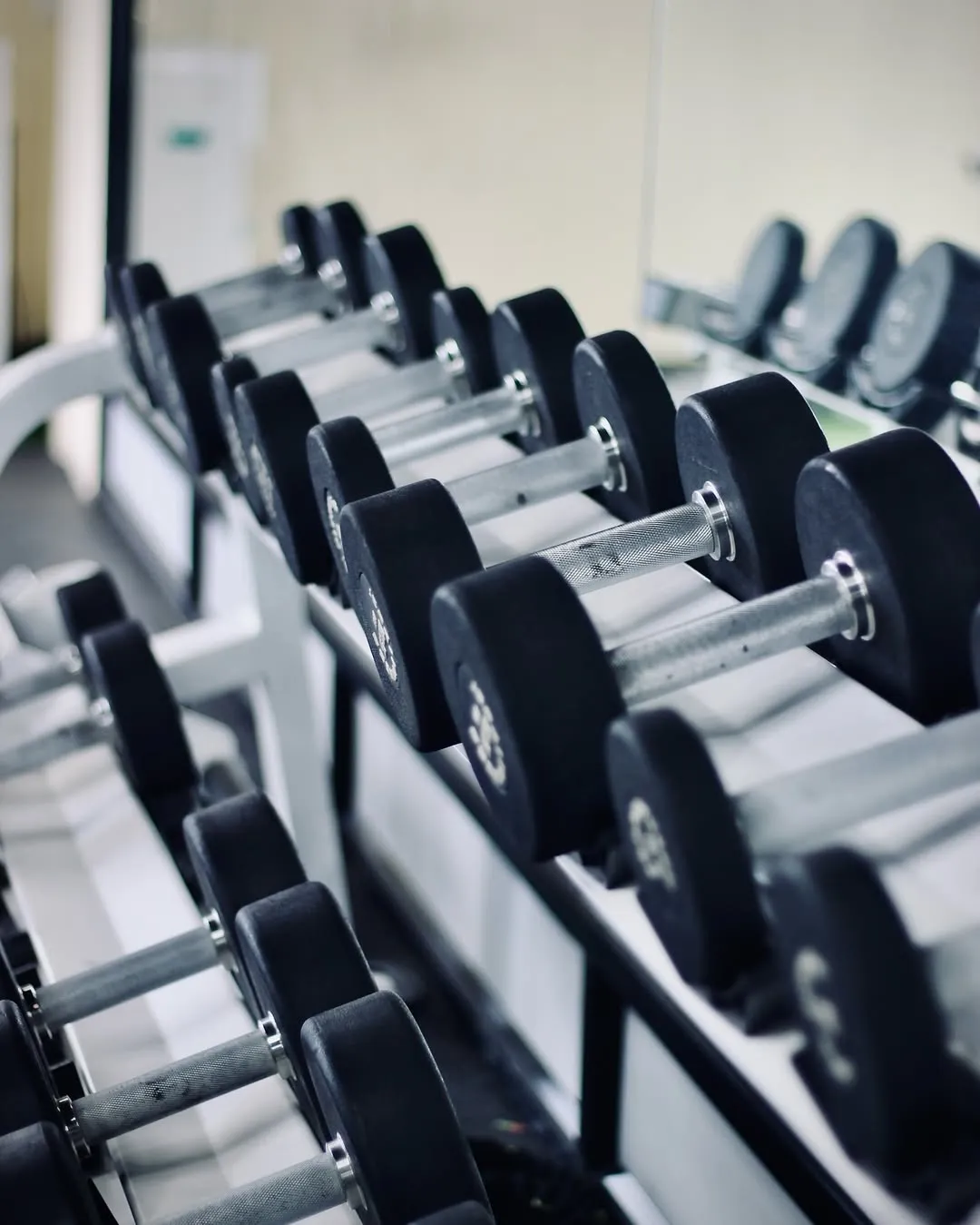 Taurus Fitness member training session
