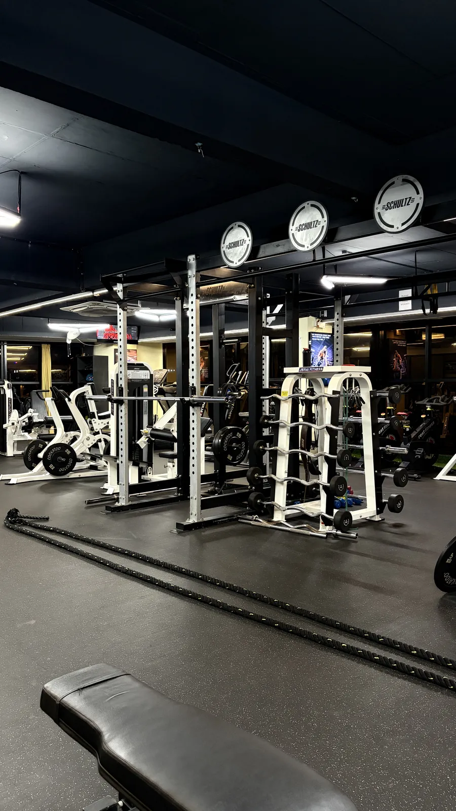 Functional arena